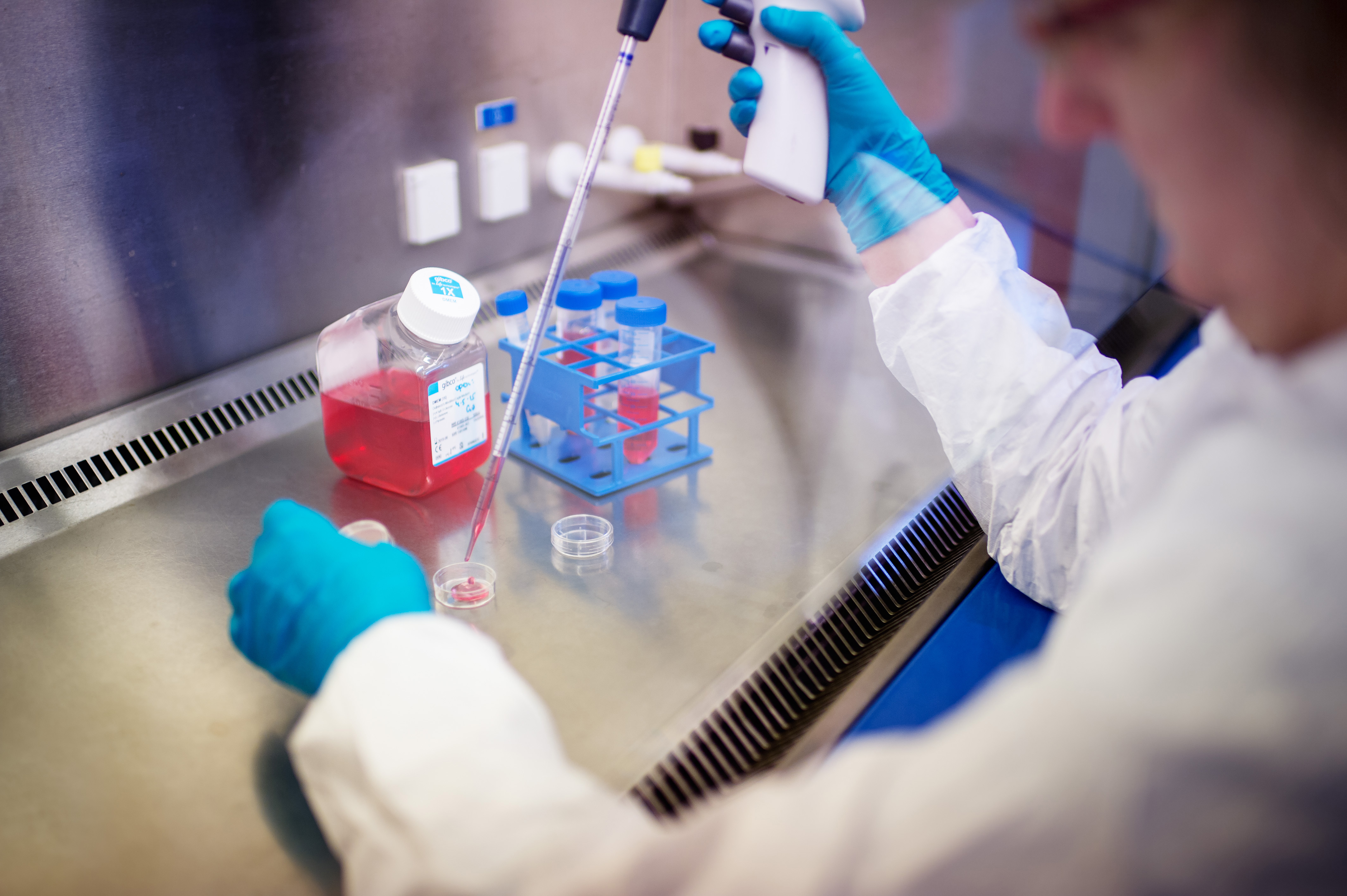Researcher working with stem cell biotechnology 
